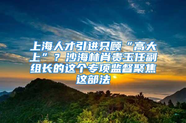 上海人才引进只顾“高大上”？沙海林肖贵玉任副组长的这个专项监督聚焦这部法