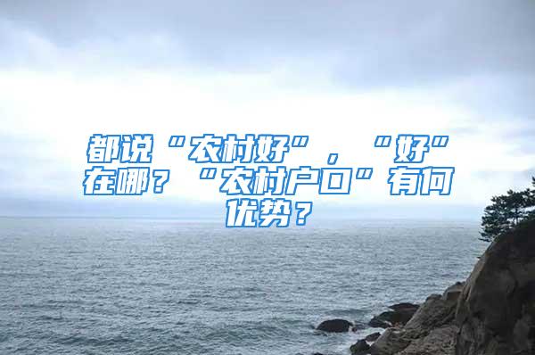 都说“农村好”，“好”在哪？“农村户口”有何优势？