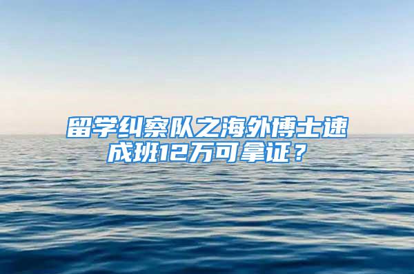 留学纠察队之海外博士速成班12万可拿证？