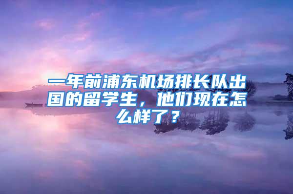 一年前浦东机场排长队出国的留学生，他们现在怎么样了？