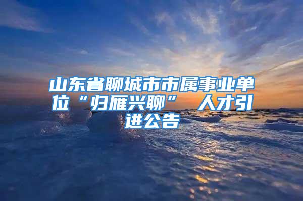 山东省聊城市市属事业单位“归雁兴聊” 人才引进公告