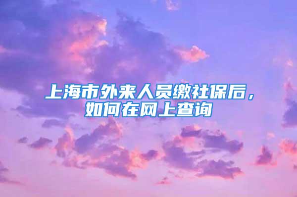 上海市外来人员缴社保后，如何在网上查询