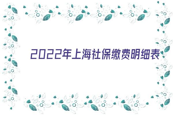 2022年上海社保缴费明细表