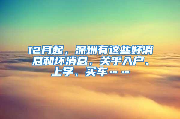 12月起，深圳有这些好消息和坏消息，关乎入户、上学、买车……