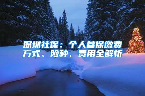 深圳社保：个人参保缴费方式、险种、费用全解析