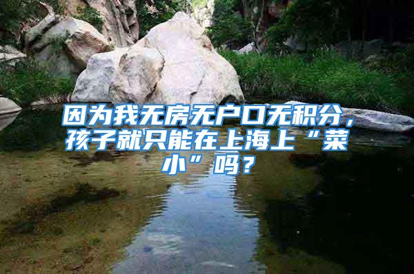 因为我无房无户口无积分，孩子就只能在上海上“菜小”吗？