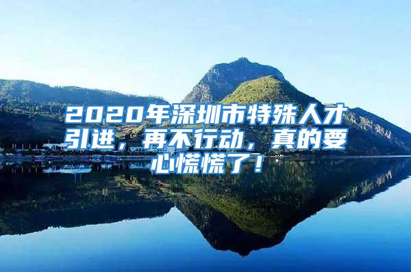 2020年深圳市特殊人才引进，再不行动，真的要心慌慌了！