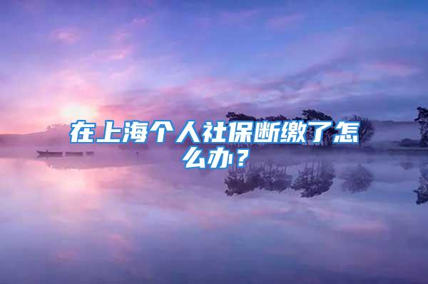 在上海个人社保断缴了怎么办？