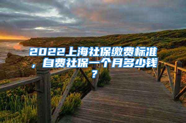 2022上海社保缴费标准，自费社保一个月多少钱？