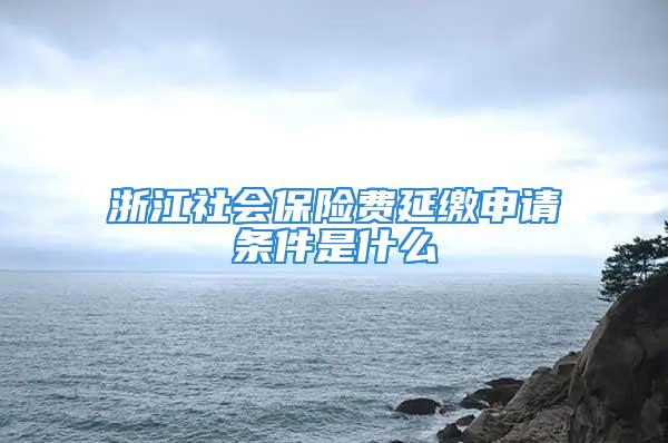 浙江社会保险费延缴申请条件是什么