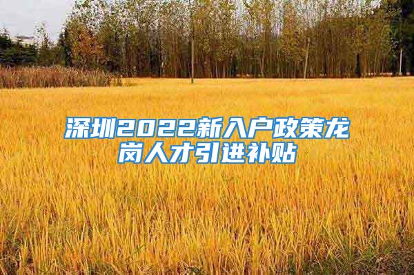 深圳2022新入户政策龙岗人才引进补贴