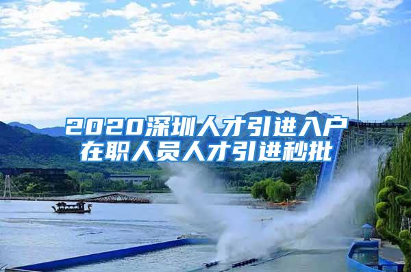 2020深圳人才引进入户在职人员人才引进秒批