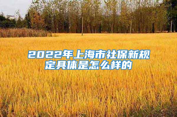 2022年上海市社保新规定具体是怎么样的