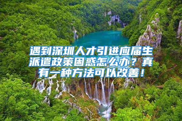 遇到深圳人才引进应届生派遣政策困惑怎么办？真有一种方法可以改善！