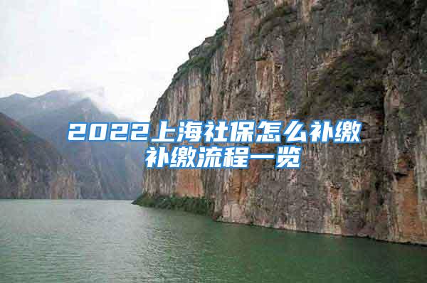 2022上海社保怎么补缴 补缴流程一览