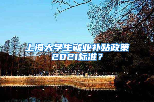 上海大学生就业补贴政策2021标准？