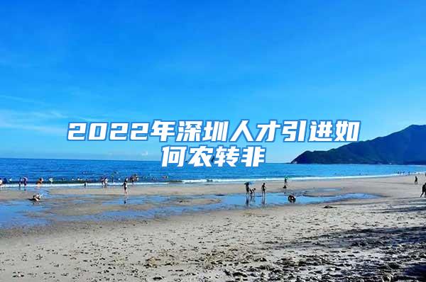 2022年深圳人才引进如何农转非