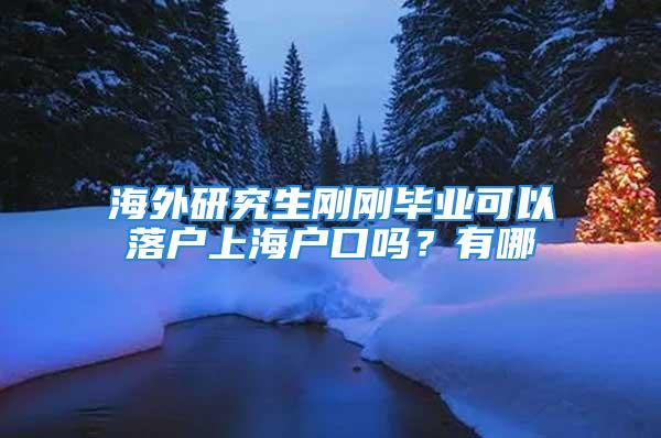 海外研究生刚刚毕业可以落户上海户口吗？有哪