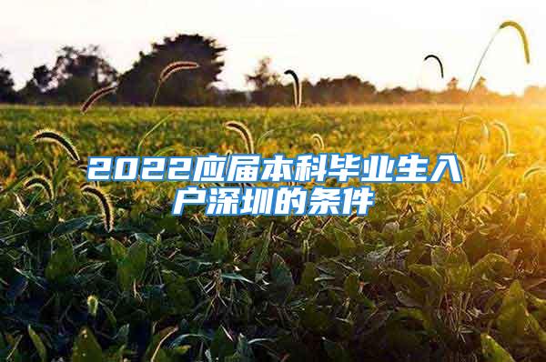 2022应届本科毕业生入户深圳的条件