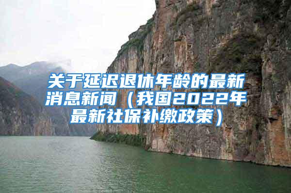 关于延迟退休年龄的最新消息新闻（我国2022年最新社保补缴政策）