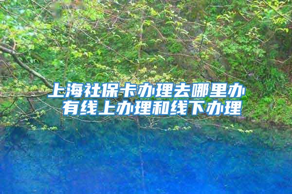 上海社保卡办理去哪里办 有线上办理和线下办理