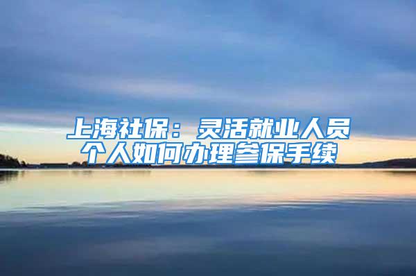 上海社保：灵活就业人员个人如何办理参保手续