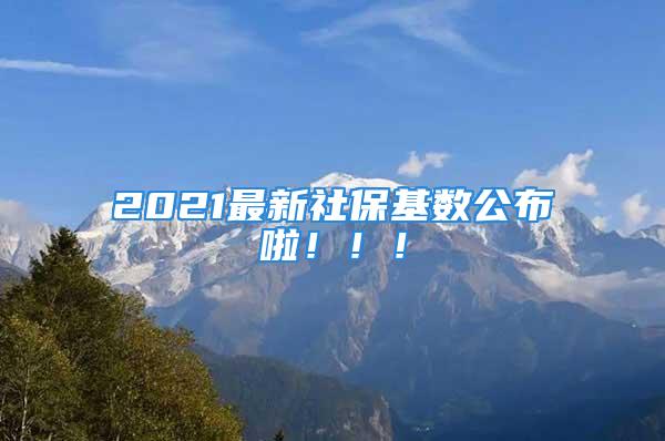 2021最新社保基数公布啦！！！