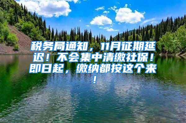 税务局通知，11月征期延迟！不会集中清缴社保！即日起，缴纳都按这个来！