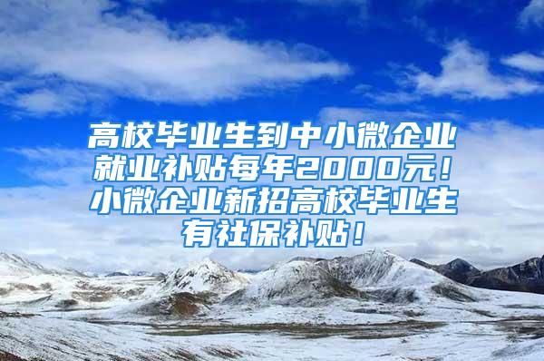 高校毕业生到中小微企业就业补贴每年2000元！小微企业新招高校毕业生有社保补贴！