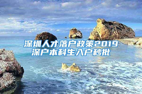 深圳人才落户政策2019深户本科生入户秒批