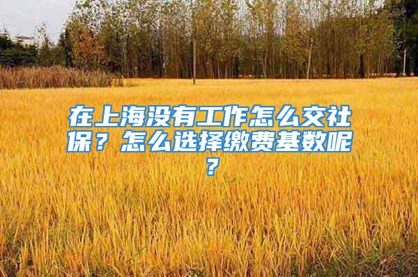 在上海没有工作怎么交社保？怎么选择缴费基数呢？