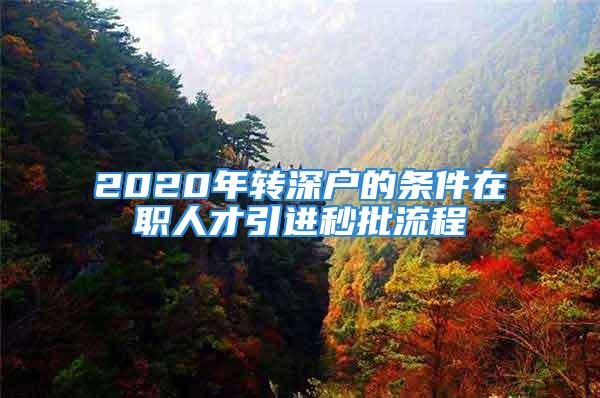 2020年转深户的条件在职人才引进秒批流程