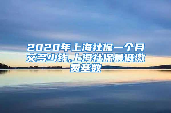 2020年上海社保一个月交多少钱,上海社保最低缴费基数