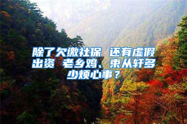 除了欠缴社保 还有虚假出资 老乡鸡、束从轩多少烦心事？