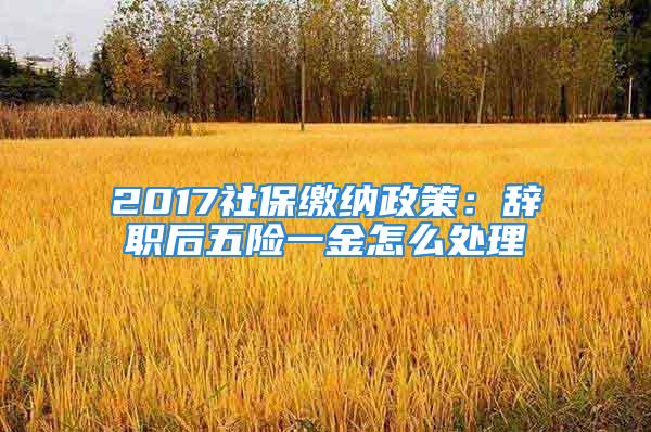 2017社保缴纳政策：辞职后五险一金怎么处理