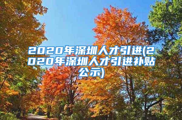 2020年深圳人才引进(2020年深圳人才引进补贴公示)