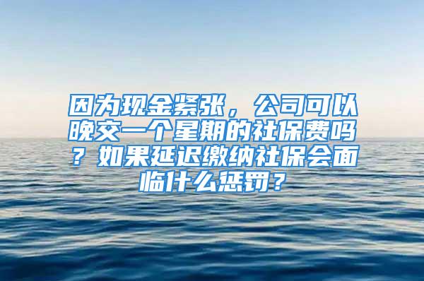 因为现金紧张，公司可以晚交一个星期的社保费吗？如果延迟缴纳社保会面临什么惩罚？