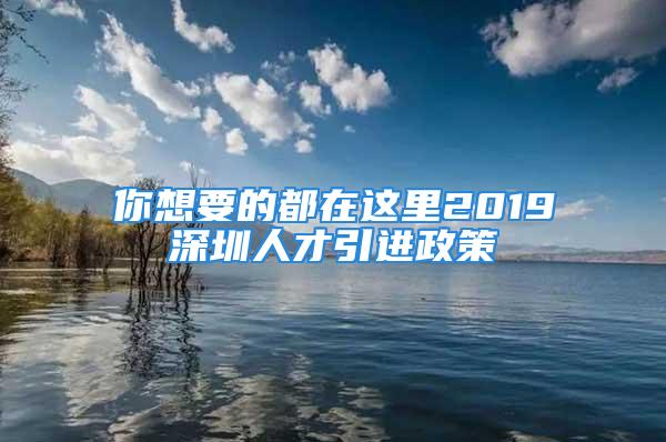 你想要的都在这里2019深圳人才引进政策