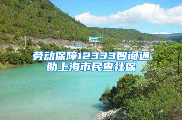 劳动保障12333智询通助上海市民查社保