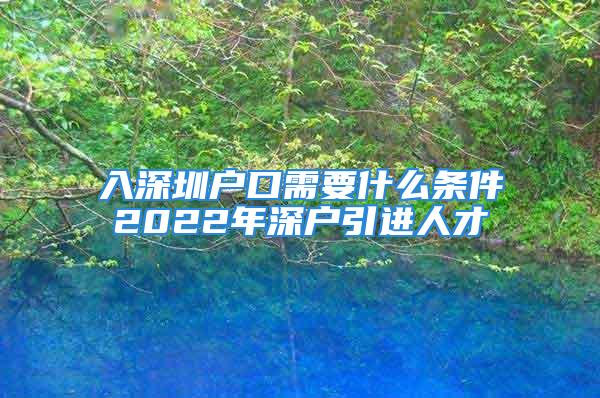 入深圳户口需要什么条件2022年深户引进人才