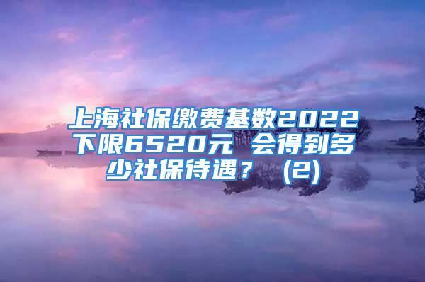 上海社保缴费基数2022下限6520元 会得到多少社保待遇？ (2)