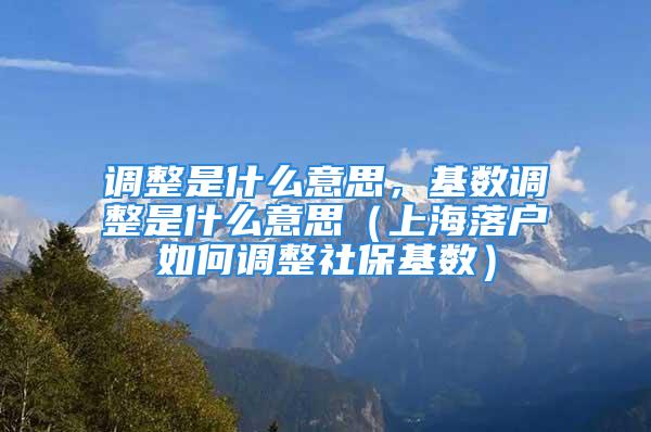 调整是什么意思，基数调整是什么意思（上海落户如何调整社保基数）