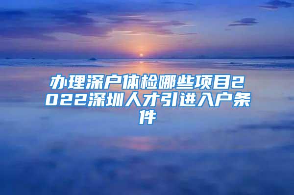 办理深户体检哪些项目2022深圳人才引进入户条件