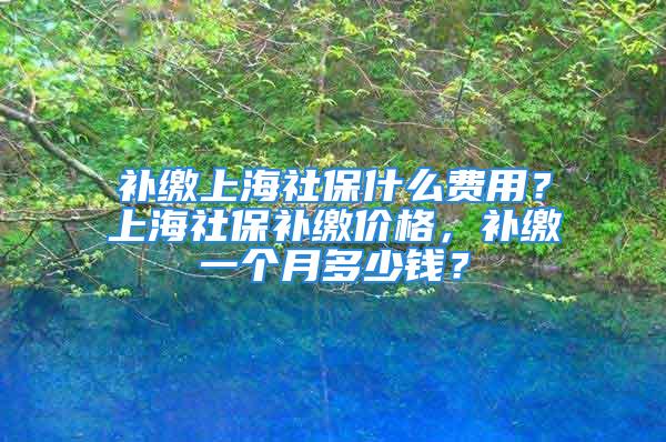 补缴上海社保什么费用？上海社保补缴价格，补缴一个月多少钱？