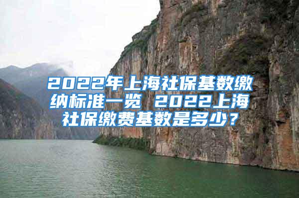 2022年上海社保基数缴纳标准一览 2022上海社保缴费基数是多少？