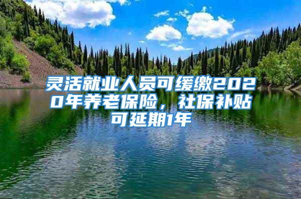 灵活就业人员可缓缴2020年养老保险，社保补贴可延期1年