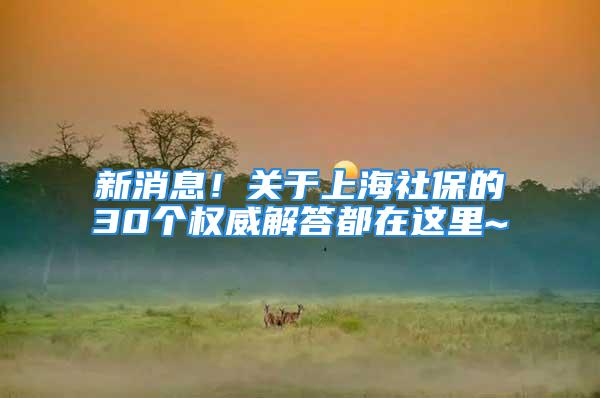 新消息！关于上海社保的30个权威解答都在这里~