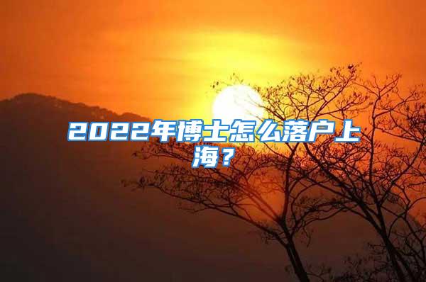 2022年博士怎么落户上海？