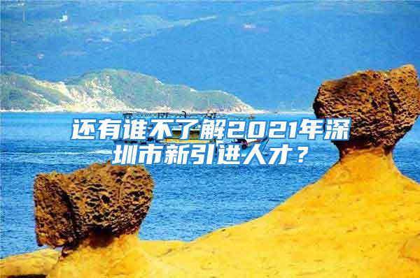 还有谁不了解2021年深圳市新引进人才？