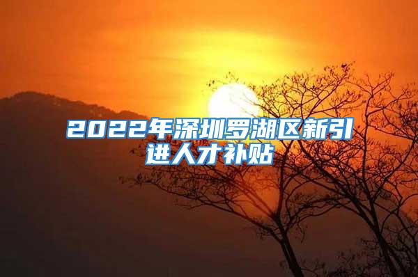 2022年深圳罗湖区新引进人才补贴